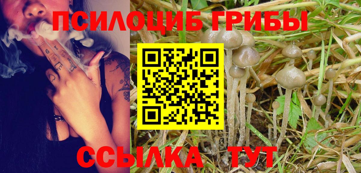 Янаул  Галлюциногенные грибы Psilocybine cubensis  Вход с VPN  цены   Галлюциногенные грибы MAGIC MUSHROOMS 